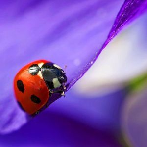 Meet your Posher, Kimmy